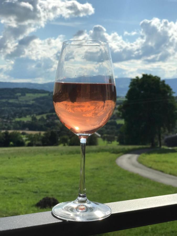 Le Chalet Des Pierres Viuz-en-Sallaz Eksteriør billede